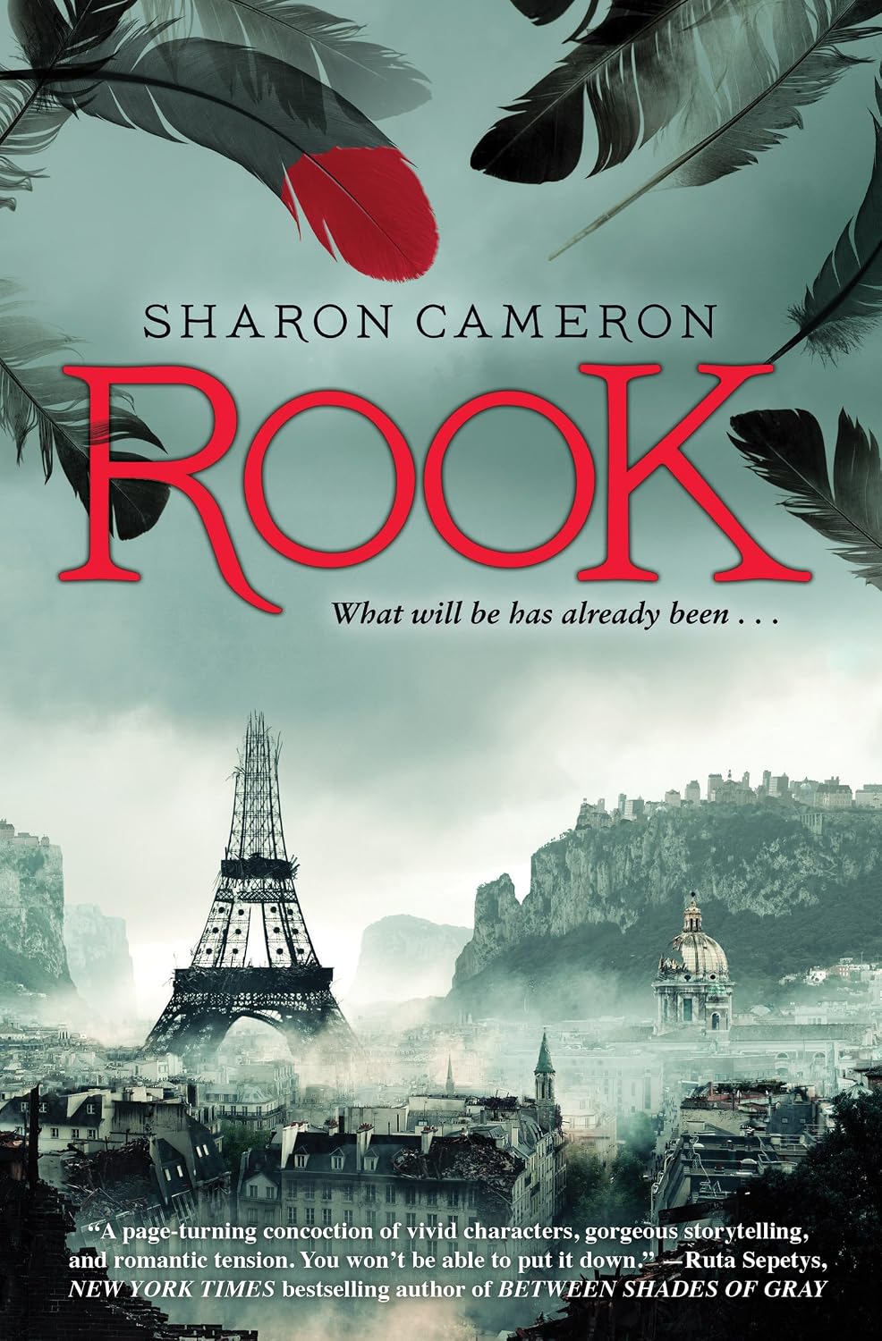 Rook - Sharon Cameron