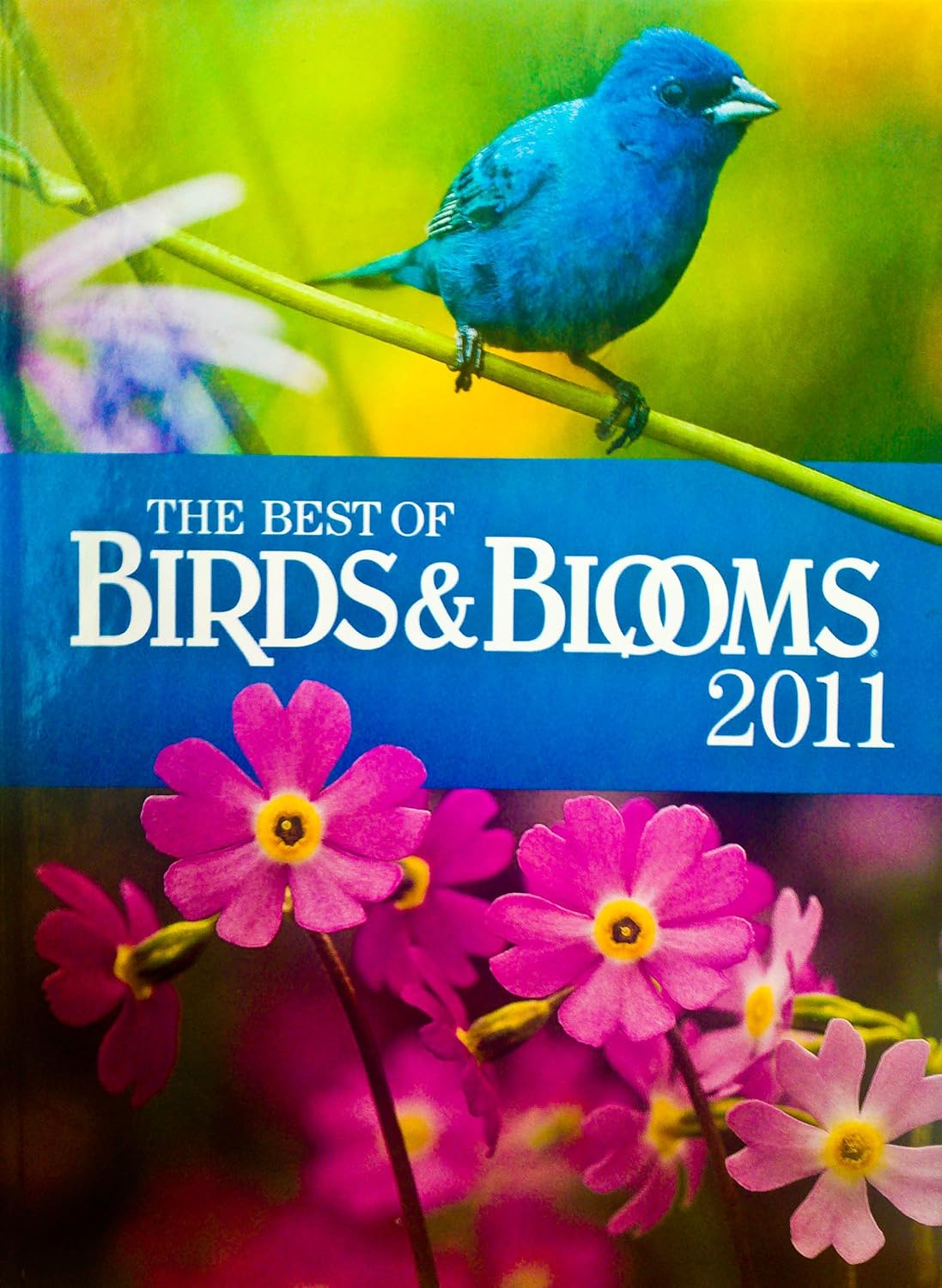 The Best of Birds & Blooms 2011 - Stacy Tornio